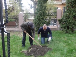 Буковинські міграційники провели весняне прибирання в рамках акції “За чисте довкілля”