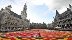 За вид на жительство в Бельгии придется заплатить 160 евро