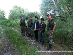 Мешканці прикордоння тричі допомогли затримати нелегалів на Львівщині, ще 9 «мандрівників» зупинили на Закарпатті