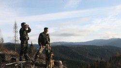 На українсько-угорському кордоні прикордонники зупинили десятьох нелегальних мігрантів