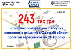 243 тис грн штрафних санкцій стягнуто з неплатників аліментів протягом вересня-жовтня 2018 року