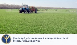 Работа в Одессе есть!