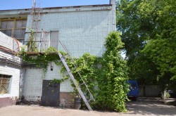 Федерація самбо