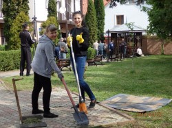 Буковинські міграційники вийшли на загальноукраїнську Толоку