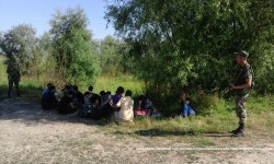 На Закарпатті затримали одну з найбільших груп незаконних мігрантів, які прямували до Угорщини