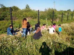 На Закарпатті затримано дев’ятьох нелегалів з Республіки Афганістан