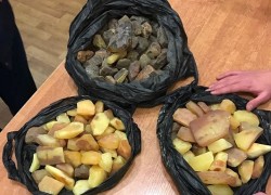 Одеською митницею ДФС припинено спробу незаконного переміщення бурштину