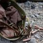 З початку збройної агресії РФ загинуло  2 тис. 608 українських військових 