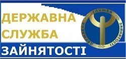 Державна служба зайнятості на ринку соціальних послуг (І півріччя 2015 року) 