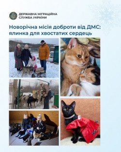 Новорічна місія доброти від ДМС: ялинка для хвостатих сердець