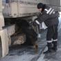 Прикордонники затримали дві автівки та громадянина Туреччини, які перебували в міжнародному розшуку