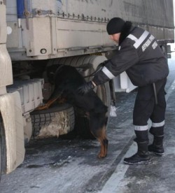 Прикордонники затримали дві автівки та громадянина Туреччини, які перебували в міжнародному розшуку