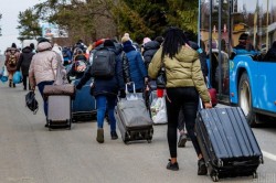 Під час війни на порядок зменшено кількість буковинців, які виїхали за кордон на постійне проживання
